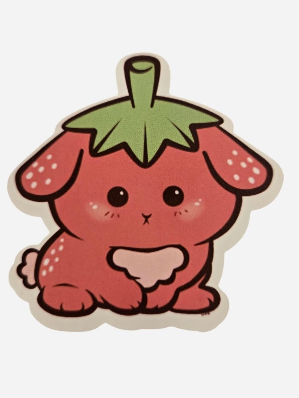 Strawberry Rabbit